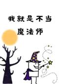 我就是不当魔法师封面